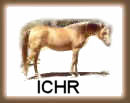 Click to visit the International Champagne Horse Registry