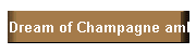 I Dream of Champagne amber champagne appaloosa stallion stud service